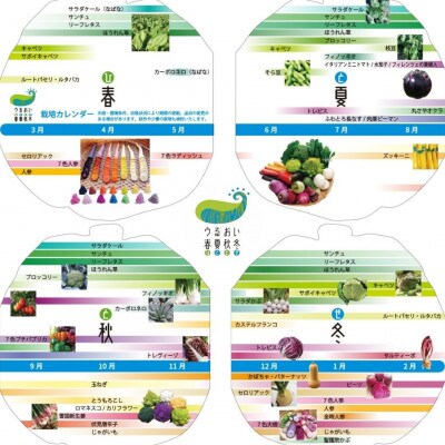 GIFTON 岩手・北上産 四元豚 厳選カット肉と野菜農家「うるおい春夏秋冬」季節の野菜セット