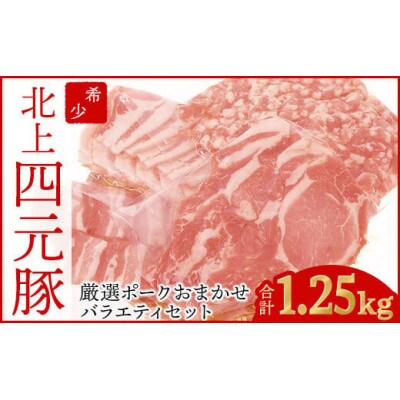 GIFTON 岩手県産 四元豚 厳選カット肉 ロース バラ 肩ロース モモ ひき肉 計1.25kg