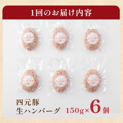 GIFTON 岩手県産四元豚 手ごね 生ハンバーグ 150g×6個