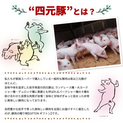 【毎月定期便】岩手県産 四元豚 ひき肉 2kgセット(細挽き250g×4・粗挽き250g×4)全6回