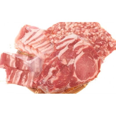 【毎月定期便】岩手産四元豚厳選カット肉 ロース バラ 肩ロース モモ ひき肉 計1.25kg全12回
