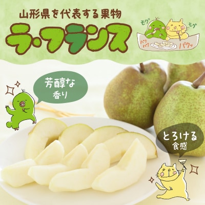 《先行受付》ラ・フランス 5kg 13～20玉 L～5L【11月中旬頃～発送予定】 048-005