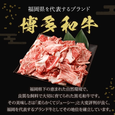 博多和牛ロース・肩ロース切り落とし600g(300g×2パック)【伊豆丸商店】_HA0194