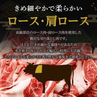 博多和牛ロース・肩ロース切り落とし600g(300g×2パック)【伊豆丸商店】_HA0194