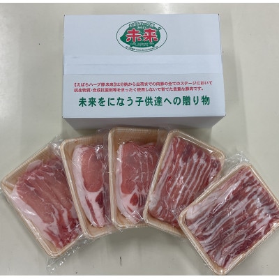 しゃぶしゃぶファミリーセット&僕らの未来カレーセット