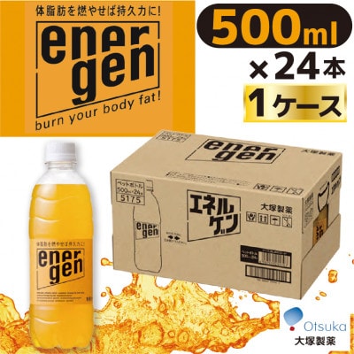 大塚製薬『エネルゲン』500ml×24本