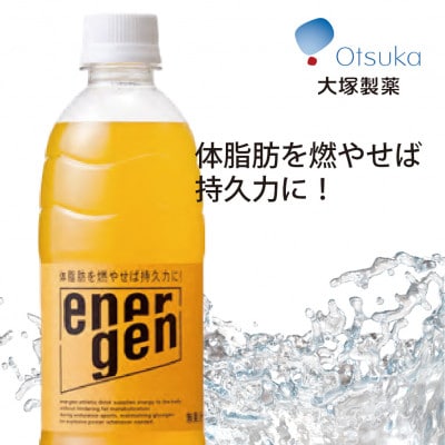 大塚製薬『エネルゲン』500ml×24本