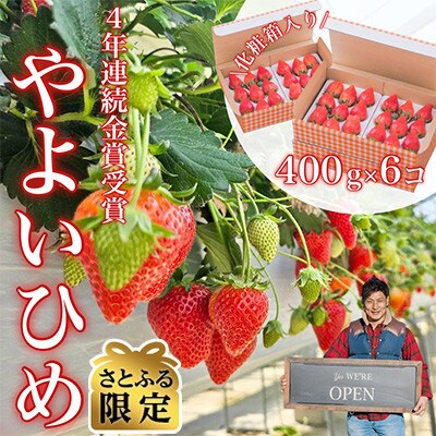 【さとふる限定】産地直送・朝摘み「やよいひめ」ダブル3箱　約2400g　厳選された完熟いちごで大満足 | ふるさと納税のお礼品