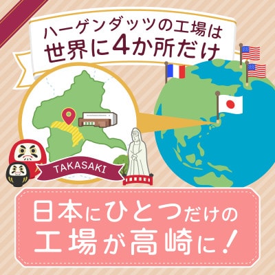 《16B001》ハーゲンダッツ　バラエティセット
