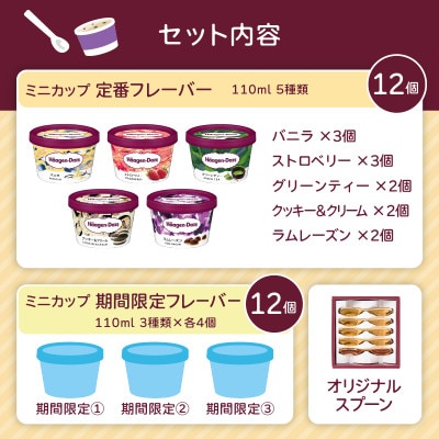 《15B002》ハーゲンダッツ　パーティーセット