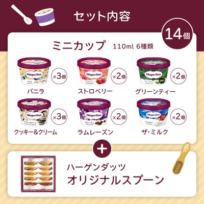 《25087》ハーゲンダッツ　スタンダードセット