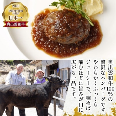桂 結 奥出雲和牛 ハンバーグ 6個セット 群馬県 高崎市