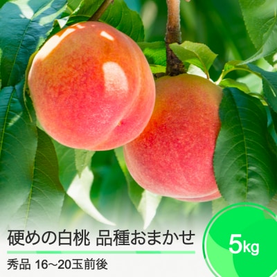 桃 もも 硬めの白桃5kg 品種おまかせ 2025年度産 ry-mohth5000