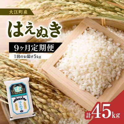  《9ヶ月定期便》大江町産 はえぬき 5kg×9ヶ月(計45kg)【山形県産】 001-T37