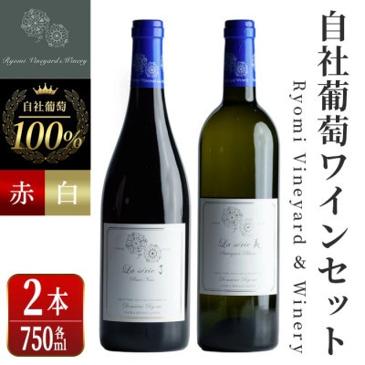 自社葡萄を使用したワイン2本セット ピノノワール・ソーヴィニヨンブラン 750ml×各1本