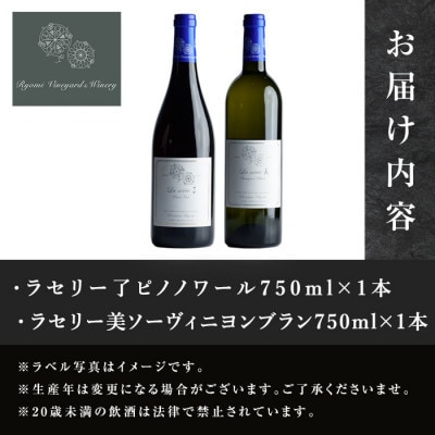 自社葡萄を使用したワイン2本セット ピノノワール・ソーヴィニヨンブラン 750ml×各1本