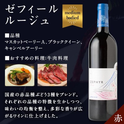 了美ワイン 飲み比べ2本セット(赤・白) 750ml×各1本