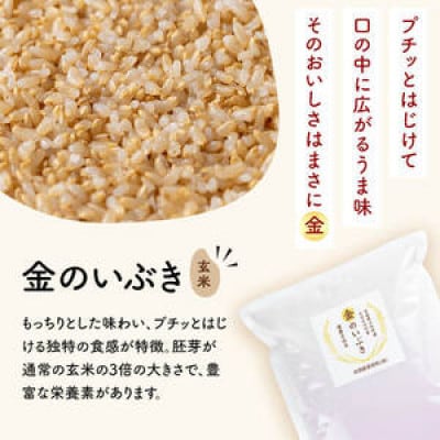 金のいぶき 自宅用 5合(750g)×5袋