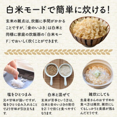 金のいぶき 自宅用 5合(750g)×5袋
