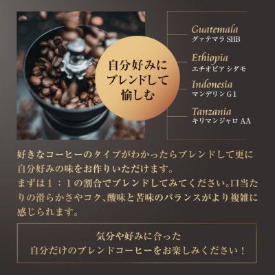 三本珈琲 ストレートコーヒー レギュラーコーヒー (粉) 飲み比べセット 計570g