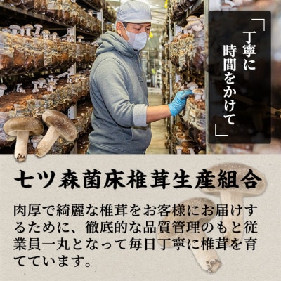 七ツ森菌床椎茸 15個×2袋