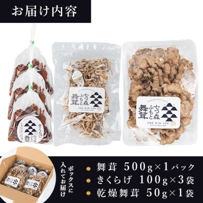 七つ森ふもと舞茸 詰め合わせギフトセット Lサイズ(舞茸500g・きくらげ300g・乾燥舞茸50g)