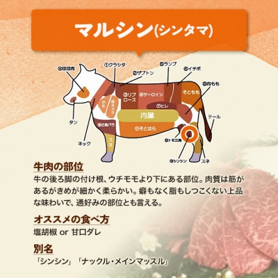 【お試し】仙台牛 マルシン 赤身肉 焼肉用 100g