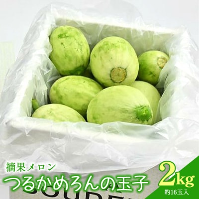 つるかめろんの玉子(摘果メロン) 2kg 約16玉 tn-0015