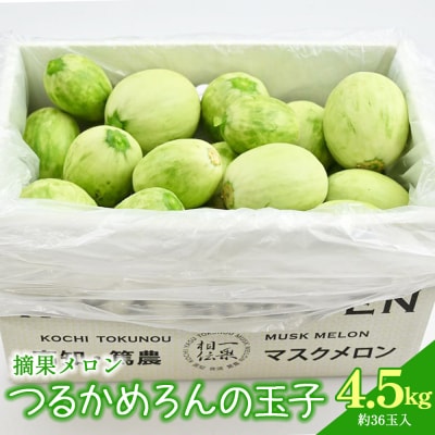 つるかめろんの玉子(摘果メロン) 4.5kg 約36玉 tn-0016