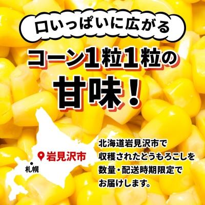 【令和7年度出荷先行受付!】北海道岩見沢市産とうもろこし2Lサイズ10本