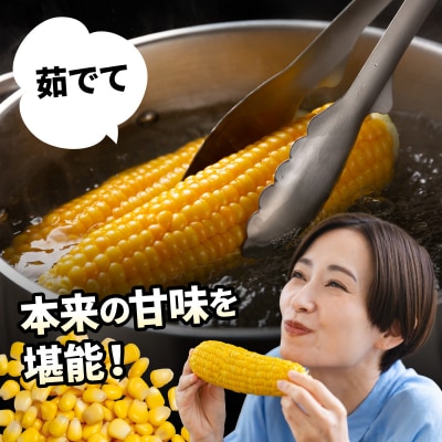 【令和7年度出荷先行受付!】北海道岩見沢市産とうもろこし2Lサイズ10本