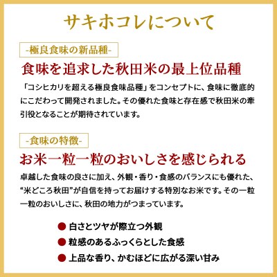 《定期便6ヶ月》令和7年産 サキホコレ 10kg【白米】 計60kg|01_tfs-411006