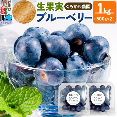 くろかわ農園 ブルーベリー 1kg(500g×2パック)|01_kkn-010201