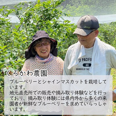くろかわ農園 ブルーベリー 1kg(500g×2パック)|01_kkn-010201