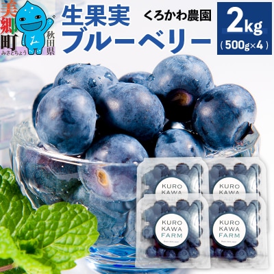 くろかわ農園 ブルーベリー 2kg(500g×4パック)|01_kkn-010401
