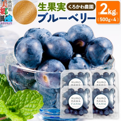 くろかわ農園 ブルーベリー 2kg(500g×4パック)|01_kkn-010401