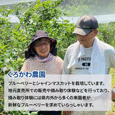 くろかわ農園 冷凍ブルーベリー 1kg(500g×2パック)|01_kkn-020201