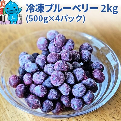 くろかわ農園 冷凍ブルーベリー 2kg(500g×4パック)|01_kkn-020401