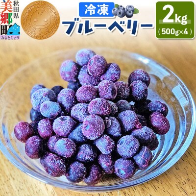 くろかわ農園 冷凍ブルーベリー 2kg(500g×4パック)|01_kkn-020401