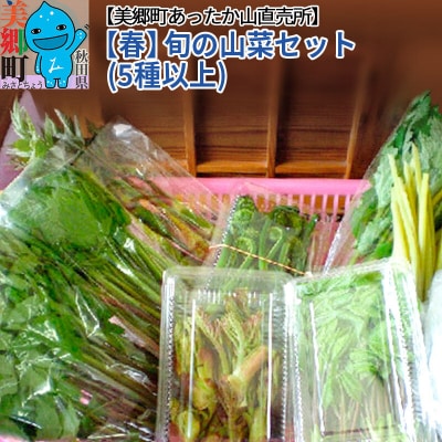 【春】旬の山菜セット(5種類以上)美郷町あったか山直売所/中身おまかせ|01_mac-051201