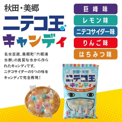 ニテコサイダーお菓子セット|01_amd-174301
