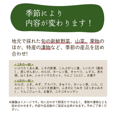 季節の産直詰め合わせ 野菜 山菜 果物 フルーツ お菓子 漬物 など|01_mac-151401