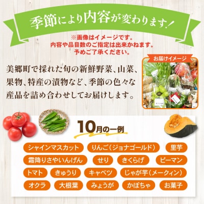 季節の産直詰め合わせ 野菜 山菜 果物 フルーツ お菓子 漬物 など|01_mac-151401