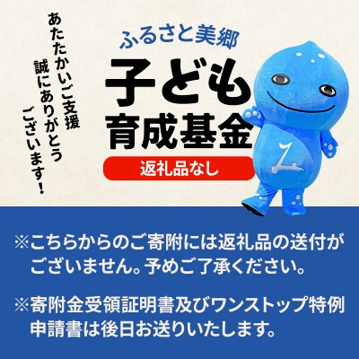 《返礼品なし》ふるさと美郷子ども育成基金 1口10,000円分|01_mcy-060601