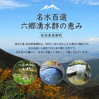 ニテコサイダーミックス 300ml×24本セット 2種|01_amd-413101