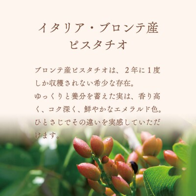 ジェラテリア TiG ジェラート イタリアンピスタチオプレミアム|01_abo-020101