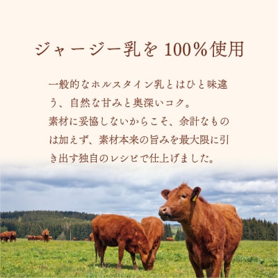 ジェラテリア TiG イタリアンジェラート ミルキージャージー(2L)|01_abo-030101