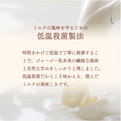 ジェラテリア TiG イタリアンジェラート ミルキージャージー(2L)|01_abo-030101