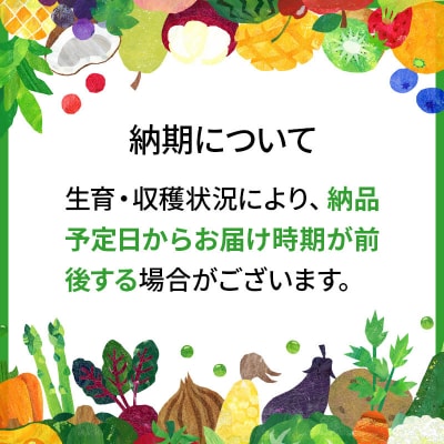 令和6年産 サキホコレ特別栽培米5kg【白米】|01_tfs-410501