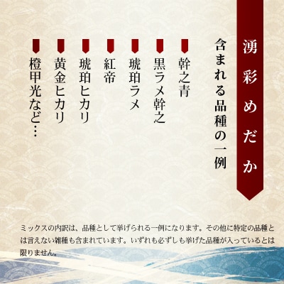 めだか ミックス 12匹 メダカ 生体 観賞用 魚 ペット 観賞魚|01_ymk-011201